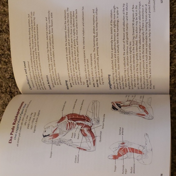 Books - Picture 6 of 9